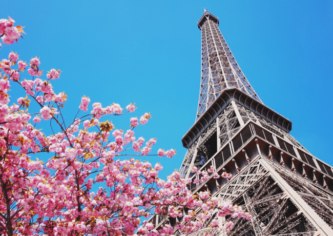 PELLEGRINAGGI 1 (19)